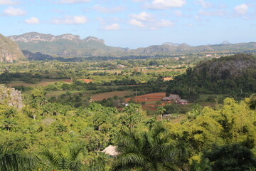 Fototapeta na wymiar beautiful view in the vinales valley in cuba