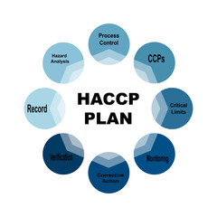 Diagram concept with HACCP Plan text and keywords. EPS 10 isolated on white background