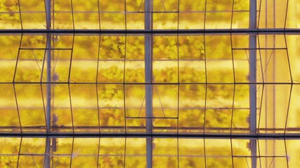 Aerial side view of large industrial greenhouses for growing plants in winter. light pollution. winter day at sunset. Flying along modern plantation glasshouse area. growing plants vegetables flowers