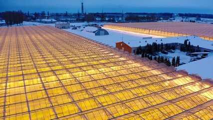Aerial side view of large industrial greenhouses for growing plants in winter. light pollution....