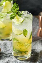 Boozy Refreshing Dark Rum Mojito Cocktail