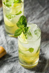 Boozy Refreshing Dark Rum Mojito Cocktail