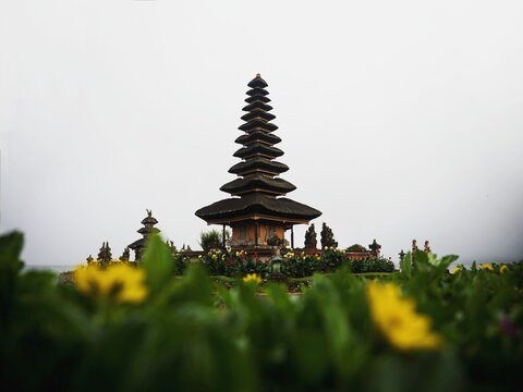 Yellow flower green plant frame of Pura Ulun Danu Beratan hindu Shiva water temple in Bedugul lake Bratan Bali Indonesia