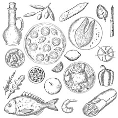 Mediterranean food. Vector illustrations. Isolated objects on white.