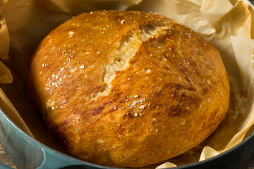 Homemade No Knead Country Bread