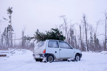 Parked car with christmas tree on roof in snow covered landscape