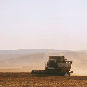Combine harvester harvesting dusty wheat field