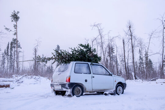 Parked car with christmas tree on roof in snow covered landscape