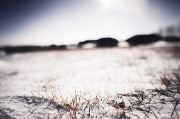 Windswept backyard with blades of dead lawn grass poking through snow