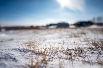 Windswept backyard with blades of dead lawn grass poking through snow