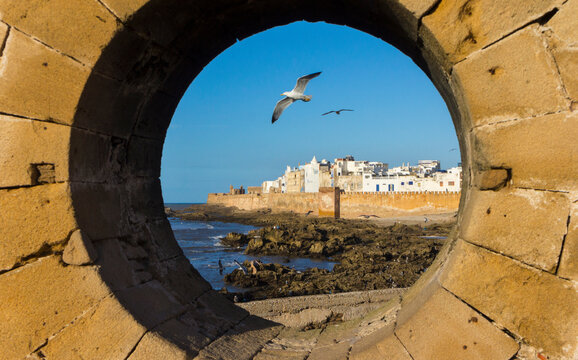 Gulls seen through port hole, Essaouira, Morocco