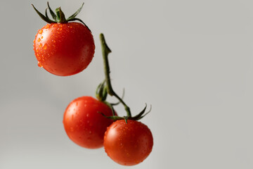 Cherry tomatoes in drops of water on a gray background. Close up, copy space