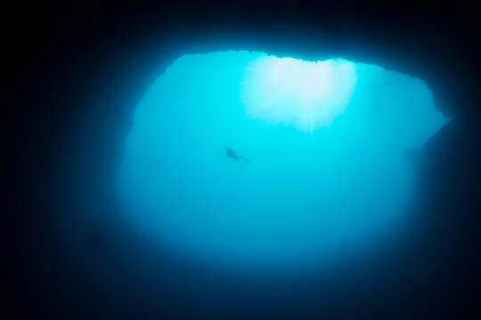 Underwater shot from a 275ft deep sink hole and diver, known as Blue Hole, Eleuthera, Bahamas