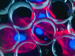Stem cell research, multi well plate with screen image of stem cells in the background
