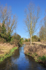 River Hiz, in countryside near Hitchin, Hertfordshire, England, UK