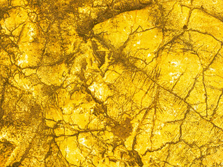 Gold texture rough leaf foil with crack background. Bright shiny yellow abstract textured golden stone