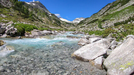 A rushing torrent in the Austrian Alps. The meadow around it is overgrown with lush green grass. In the back there is a glacier. Sunny and bright day. Power of the nature. Remedy and serenity