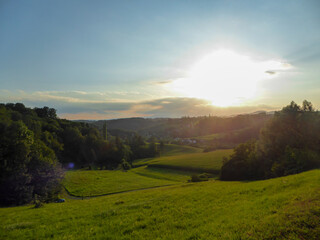 A sunset over a lush green wine yard in South Styria in Austria. The sky has strong orange color. There are many rows of wine, stretching over a vast territory. Wine plantation. Vintage. Serenity.