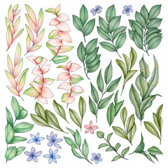 Hand drawn spring floral clipart on white background witn pink and green foliage