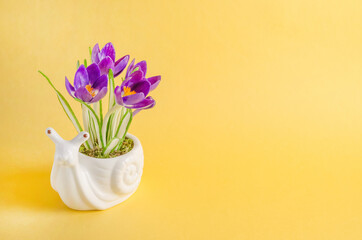 Greeting card, composition with snail and flowers on yellow background with copy space