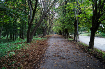 Fototapeta premium Shady alleys in an autumn park in the city of Kamyanets-Podolsky