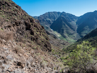 View of arid subtropical landscape of Barranco de Guigui Grande ravine with cacti and palm trees viewed from hiking trail Tasartico to Playa GuiGui beach. West of Gran Canaria, Canary Islands, Spain