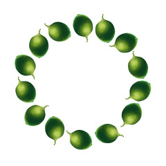 Summer round fruit frame with limes on a white background. Bright print for paper and textiles. Fruit for a healthy diet