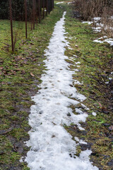 ice path in the woods