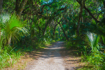USA, Florida. Tropical garden path.