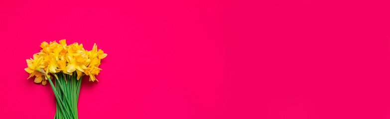 Beautiful bouquet of yellow daffodils on red background