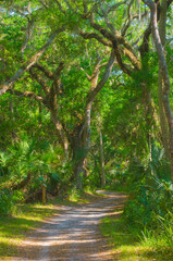USA, Florida. Tropical garden path.
