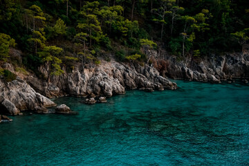 beautiful view of rocky cliff with green pine trees and turquoise colored water.