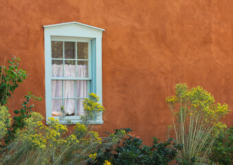 Blue wooden frame window in stucco plaster wall with tall yellow plants. Pueblo adobe building in Southwest USA