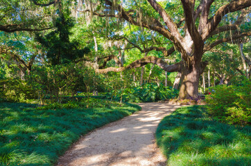 USA, Florida. Washington Oaks Gardens State Park path.