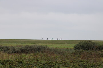 Cycling on Wangerooge / Fahrradfahrer auf einem Deich auf Wangerooge