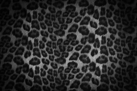 Black and white jaguar fur texture background