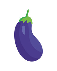 eggplant fresh vegetable
