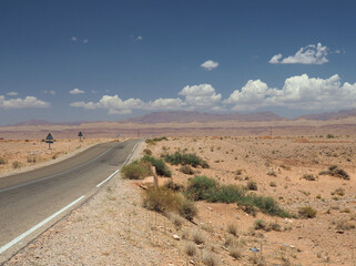 Empty asphalt route in lifeless landscape of desert wasteland. Mountains in the horizon, cumulus white clouds and blue sky. Harsh vegetation, faded plant on the roadside.