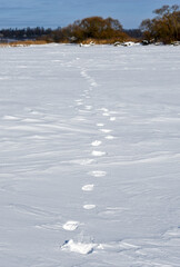 Footprints in the snow on the plain in winter