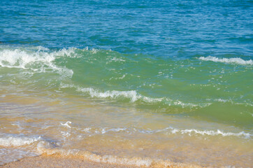 USA, Florida. Ocean waves and surf.