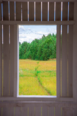 window overlooking the forest in summer