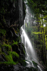 Fototapeta na wymiar A small waterfall in an hidden place in black forrest - germany