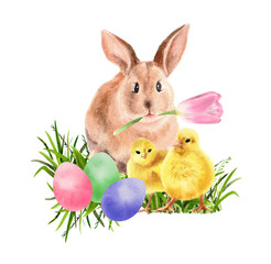 Watercolor easter illustration. Cute bunny, chicken, eggs, spring flowers, green grass. Hand painted card isolated on white background