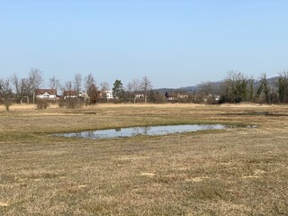 Stud pasture and alluvial forest Giriz (Studweid und Auenwald Giriz) in the natural protection zone...