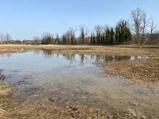 Stud pasture and alluvial forest Giriz (Studweid und Auenwald Giriz) in the natural protection zone...