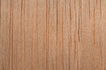 Natural wood texture with stripes. An extremely high-resolution photo.