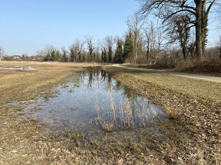 Stud pasture and alluvial forest Giriz (Studweid und Auenwald Giriz) in the natural protection zone...