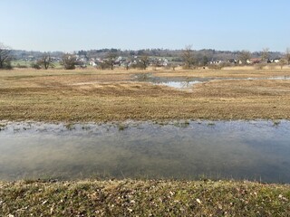 Stud pasture and alluvial forest Giriz (Studweid und Auenwald Giriz) in the natural protection zone...