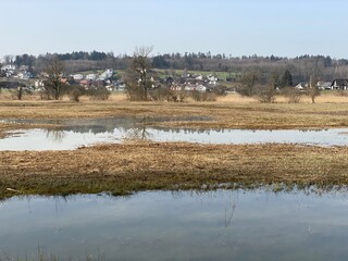 Stud pasture and alluvial forest Giriz (Studweid und Auenwald Giriz) in the natural protection zone...