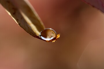 drop of water